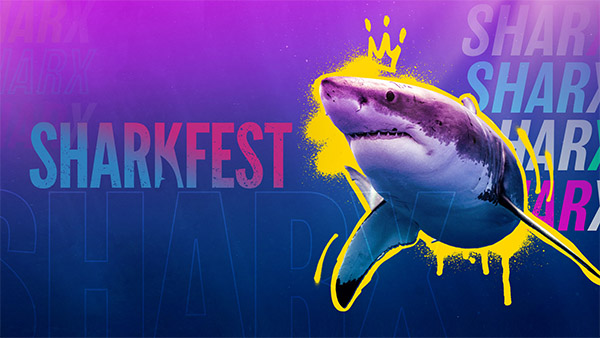 Title art for National Geographic’s SharkFest