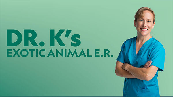 Title art for the reality TV show Dr. K’s Exotic Animal E.R.