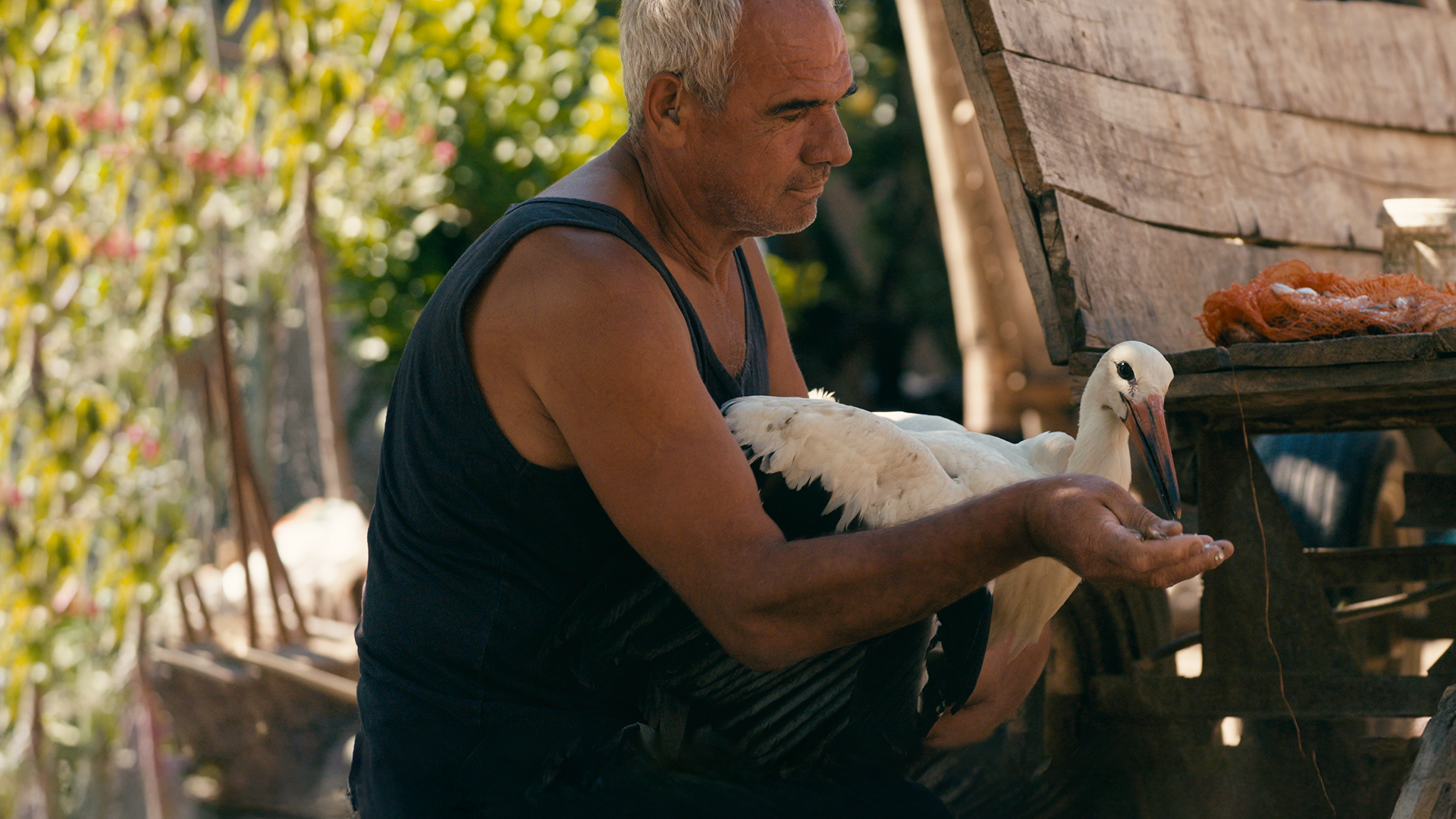 Imagem promocional do documentário O Conto de Silyan, da National Geographic 