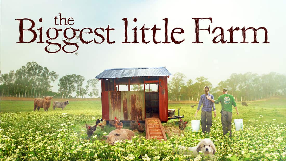 Farmers, animals, and a red shed on Apricot Lane Farms in California