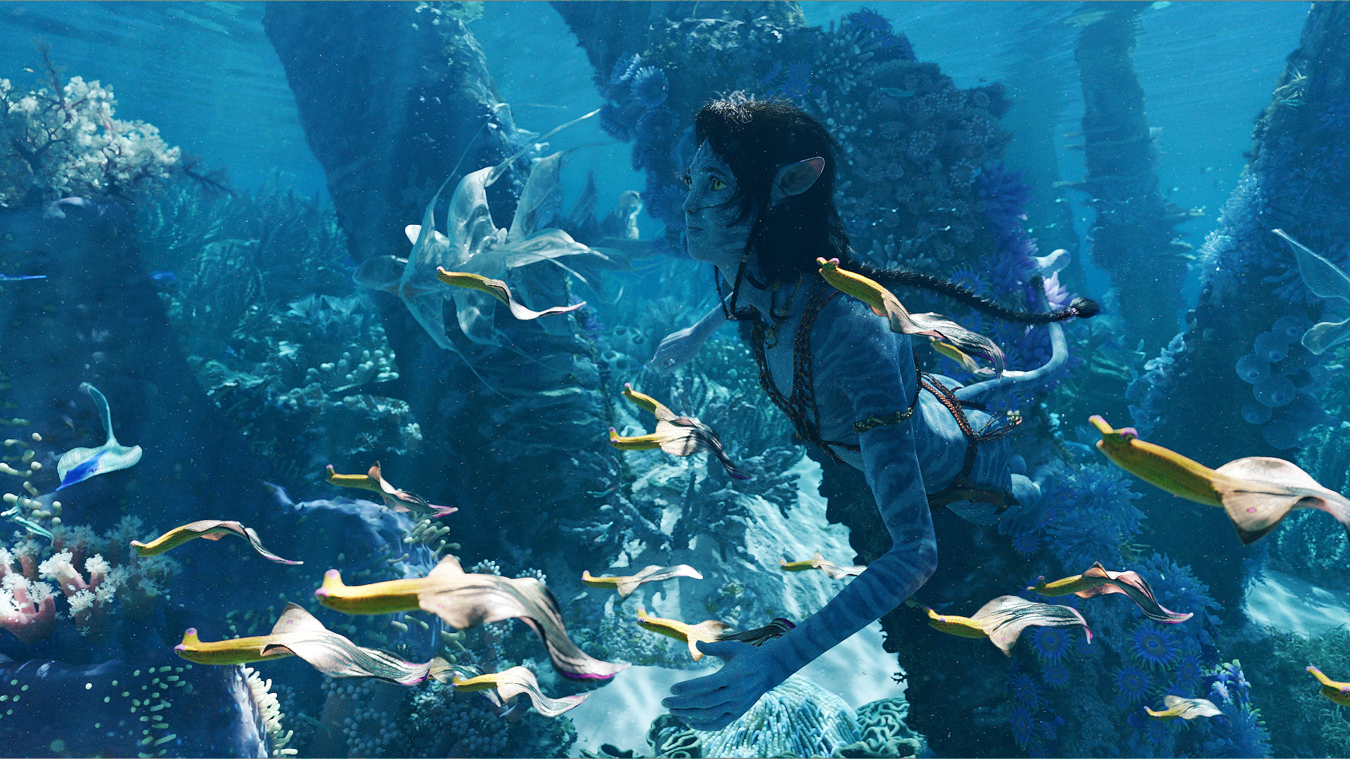 キリ（シガニー・ウィーバー）がサンゴ礁で海の生き物たちと泳いでいる。