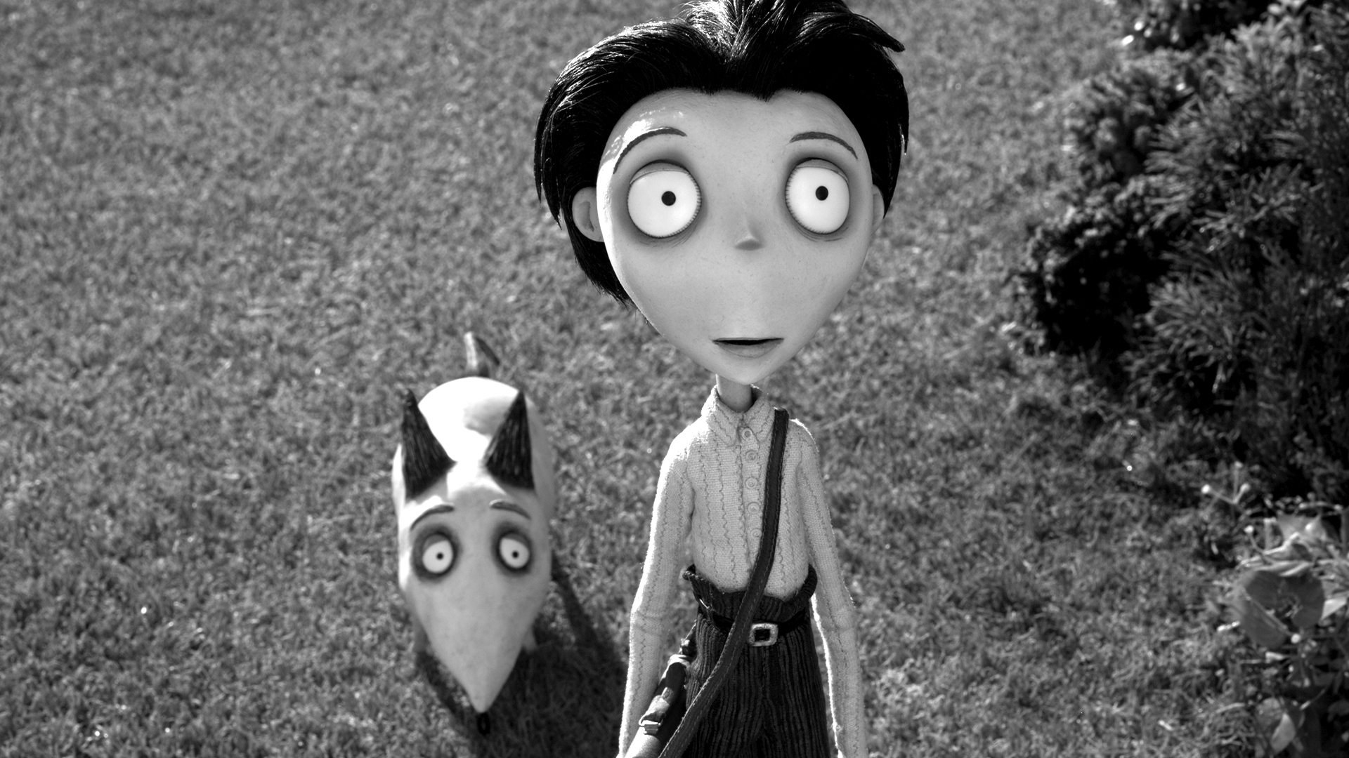 Victor Frankenstein and Sparky in Frankenweenie, Disney