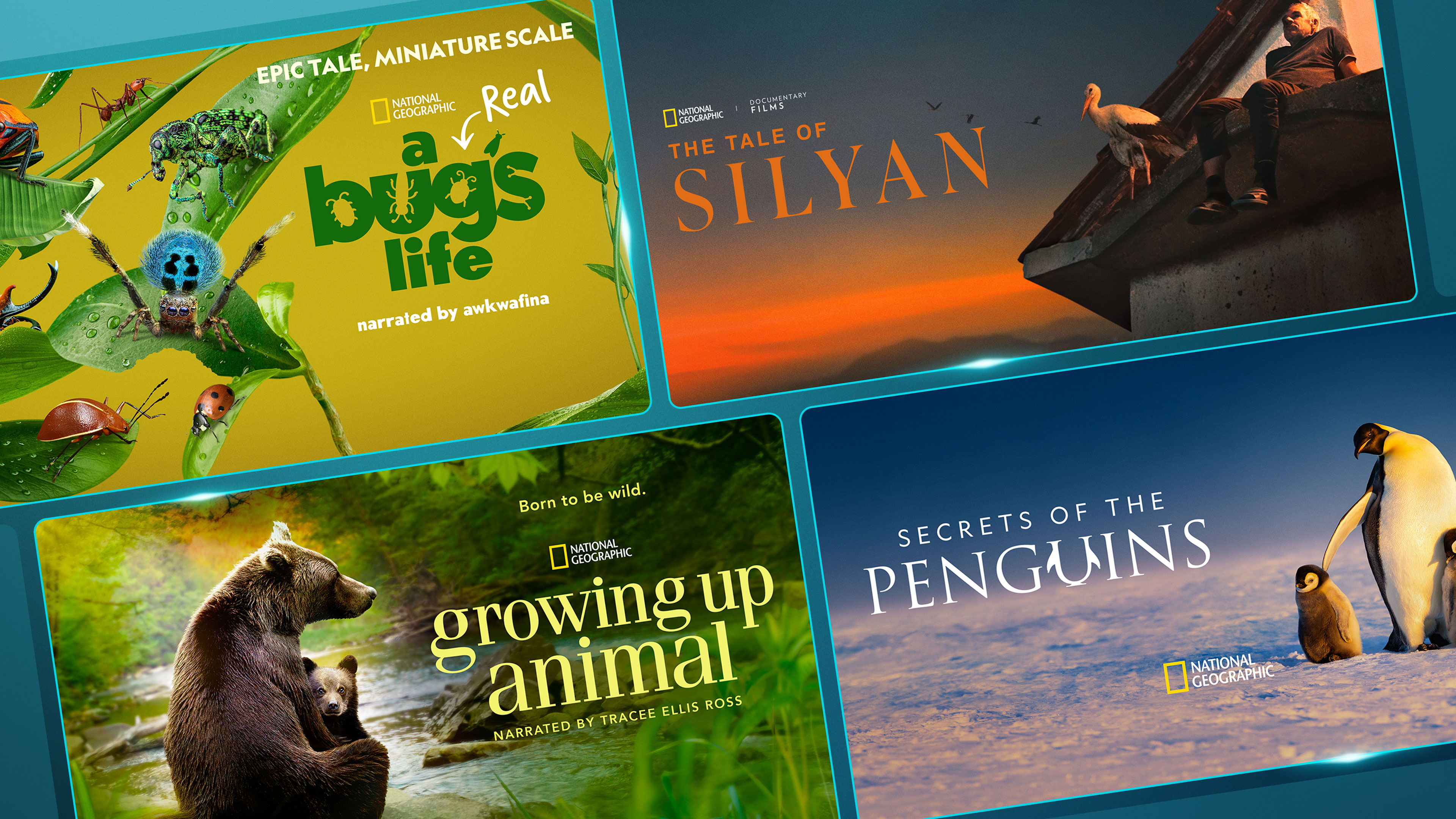 Imagem promocional do guia de conteúdos sobre a natureza da National Geographic