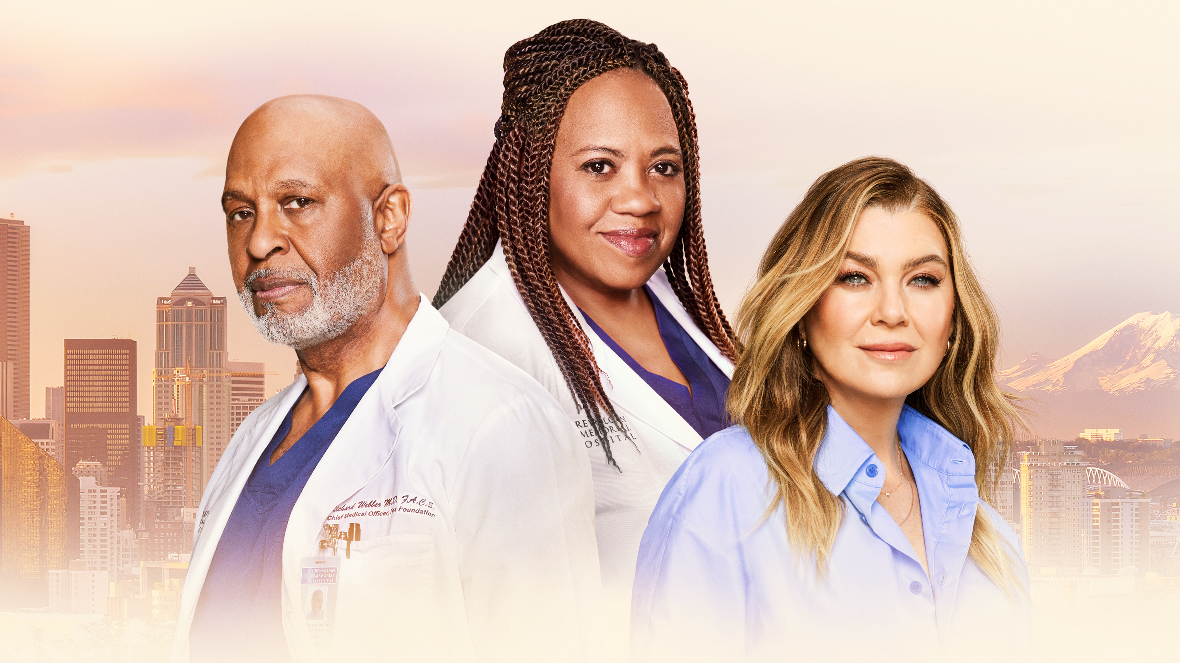 Grey's Anatomy season 22 premiere date & cast details | Explore Disney+