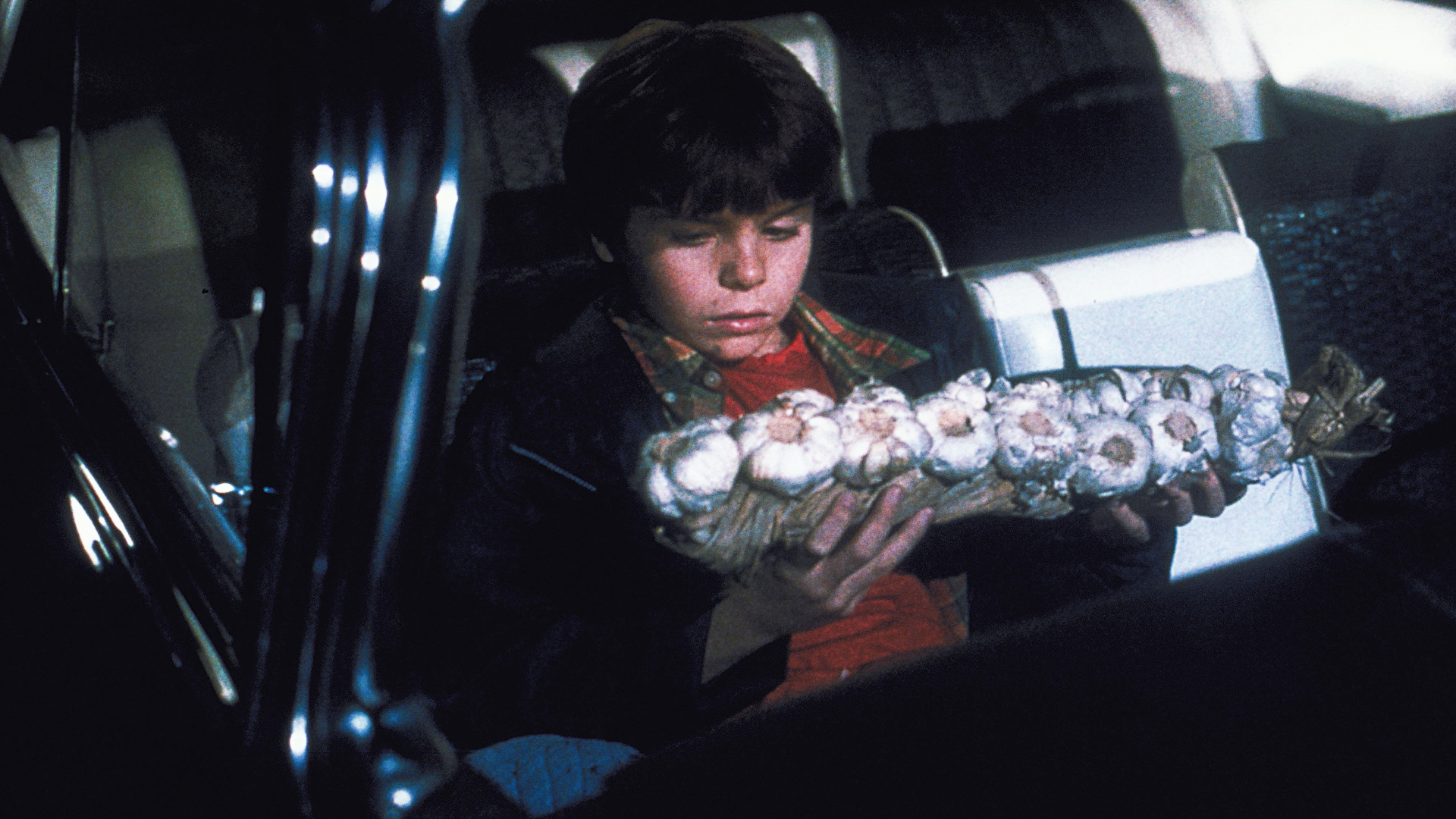 Taylor Hansen (Myles Jeffrey) in Mom's Got a Date with a Vampire, Disney