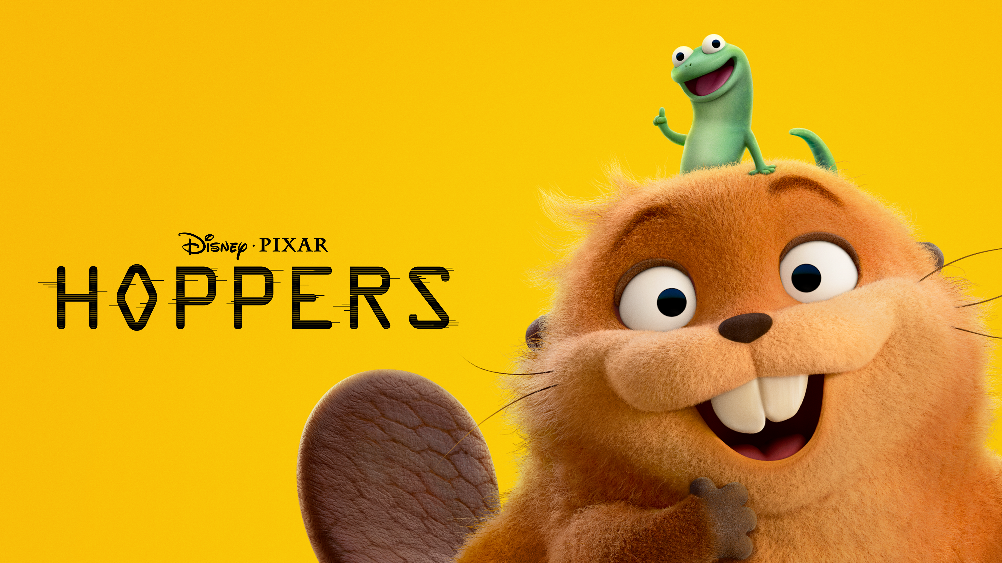 Hoppers