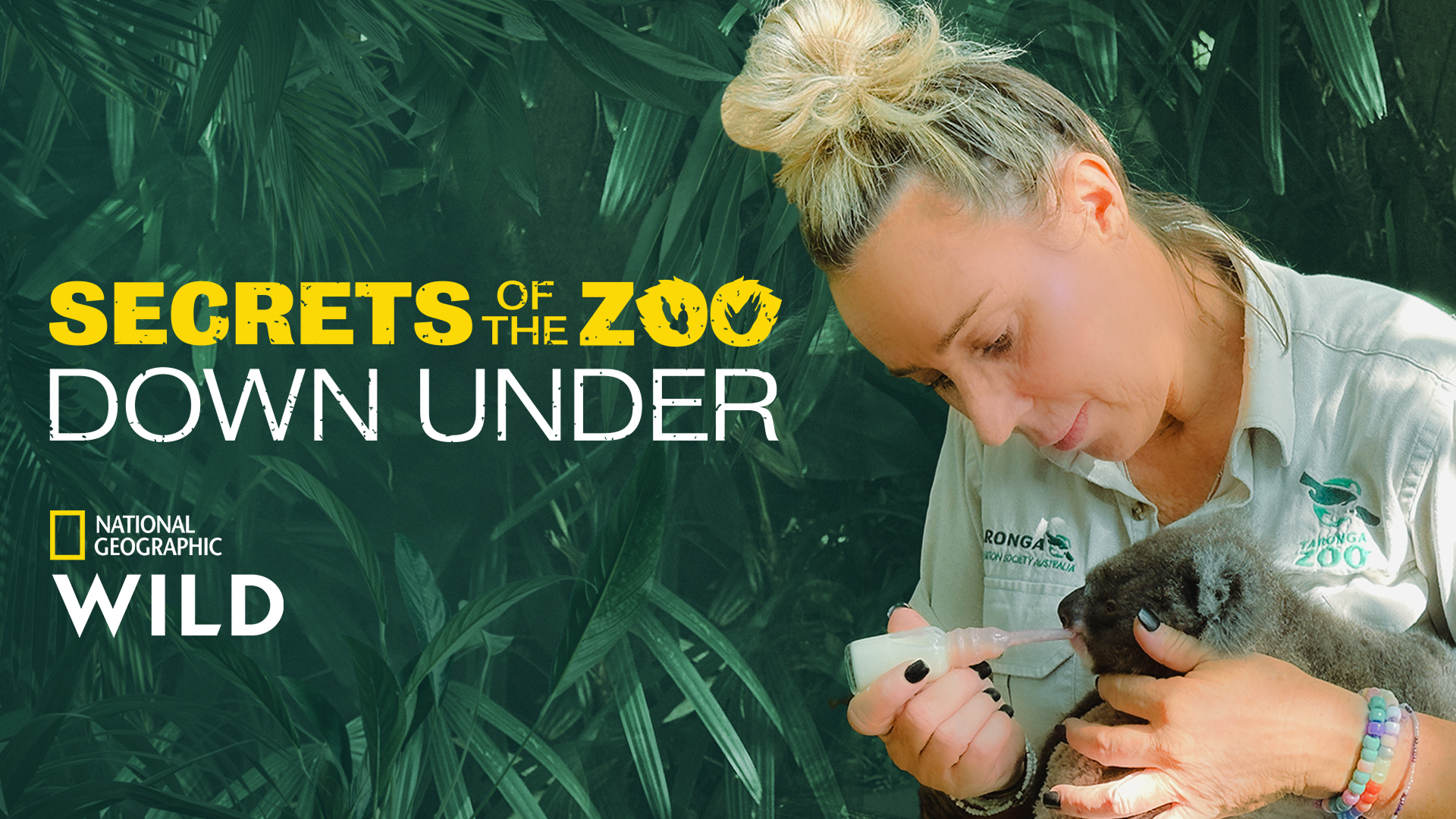Imagem promocional do documentário Secrets of the Zoo: Down Under, da National Geographic