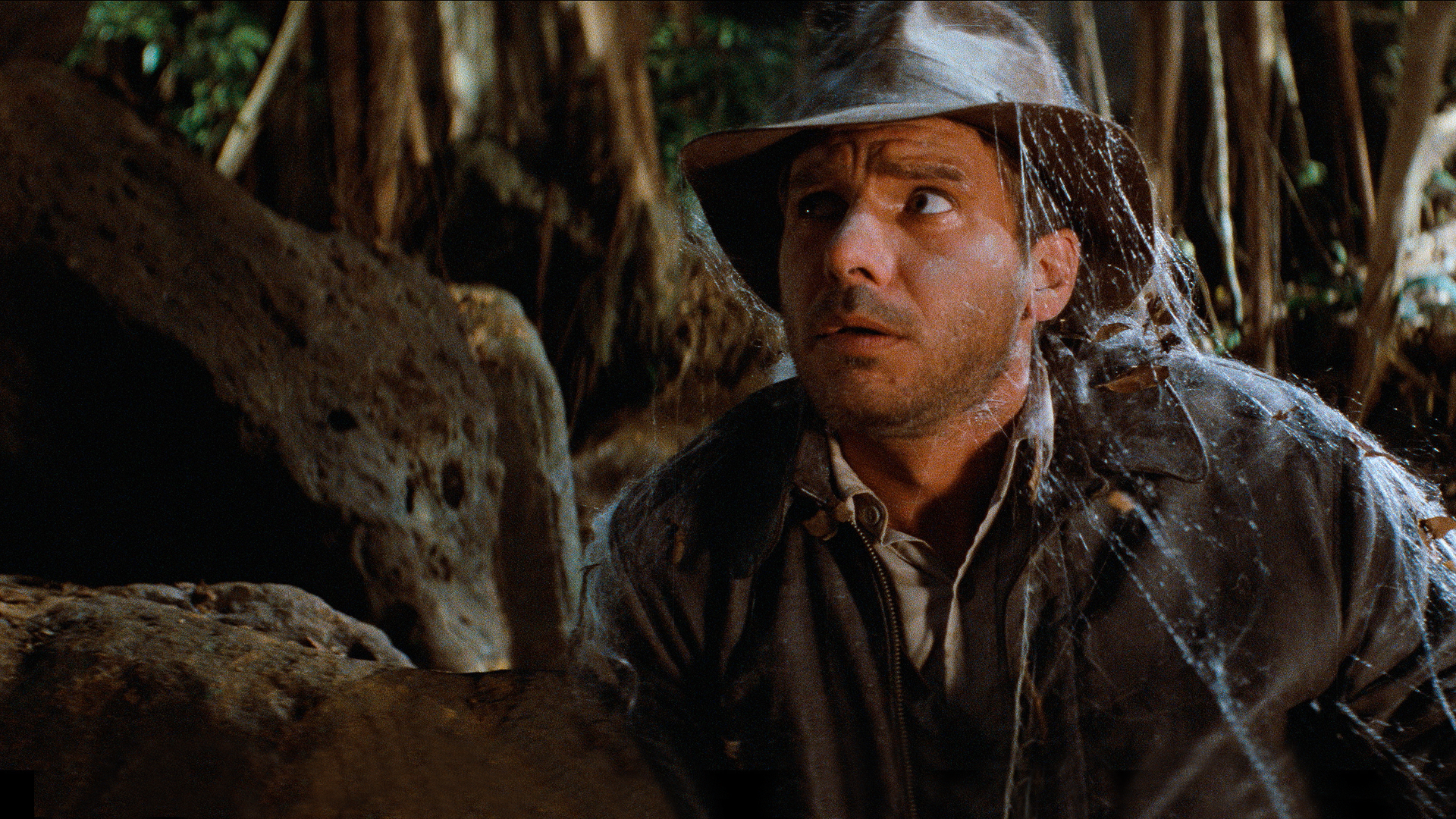 Harrison Ford in Indiana Jones™ and the Raiders of the Lost Ark