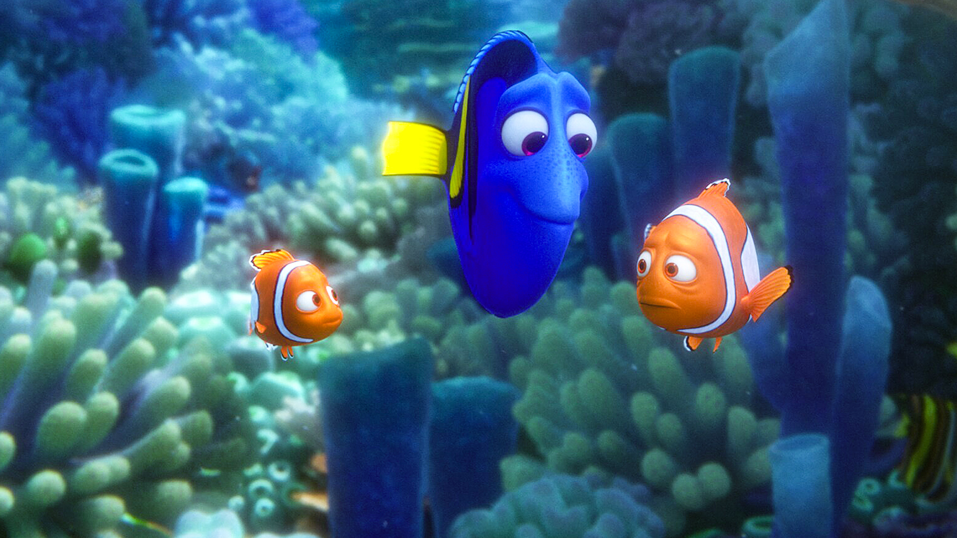 Nemo and Dory are looking at Marlin with hope as Marlin looks worried