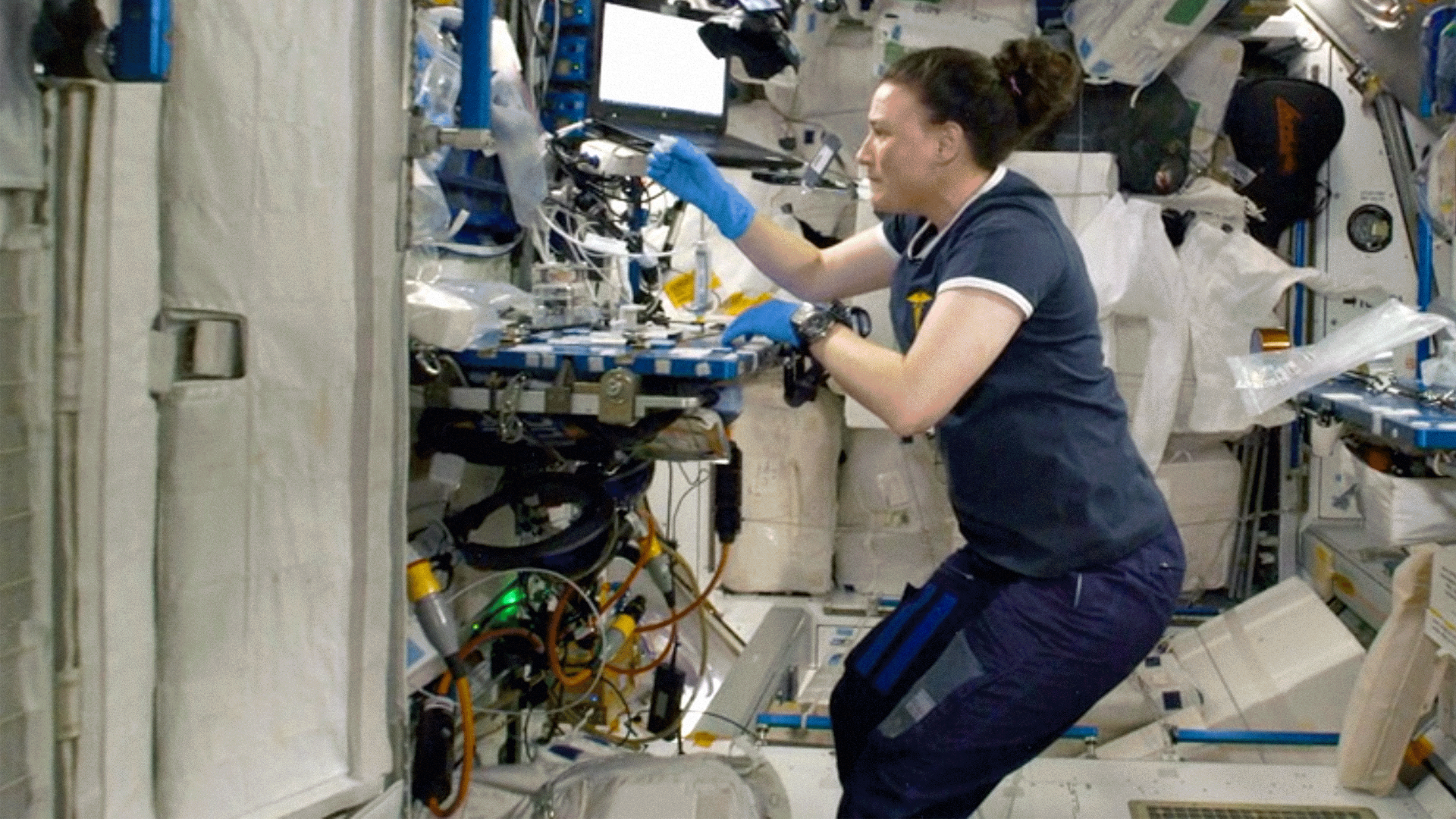 Esta imagem mostra um membro da tripulação realizando um experimento científico a bordo da Estação Espacial Internacional.