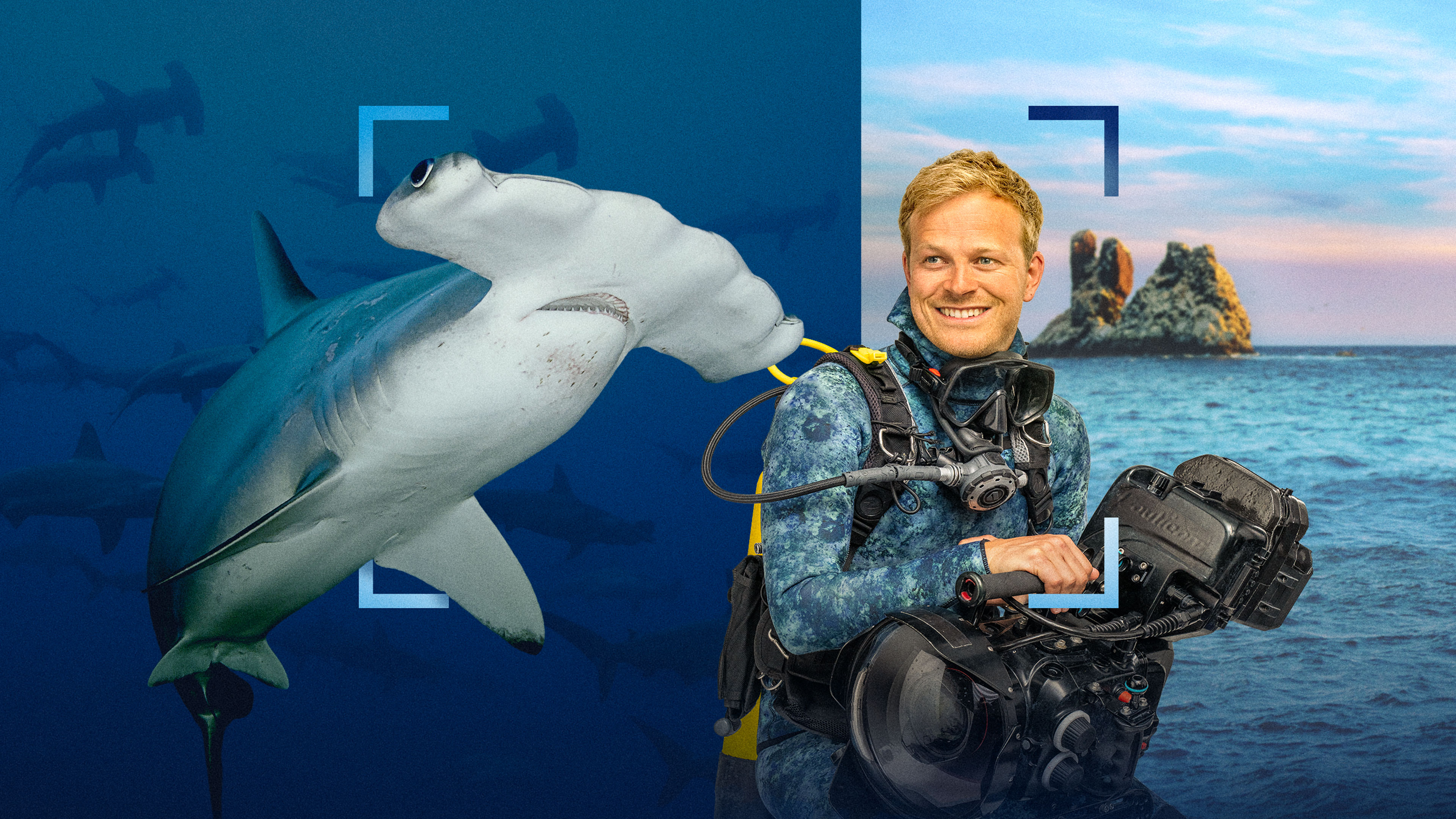 Key art for Hammerhead Sharks Up Close with Bertie Gregory