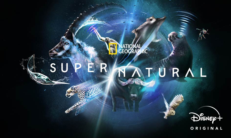 Super/Natural