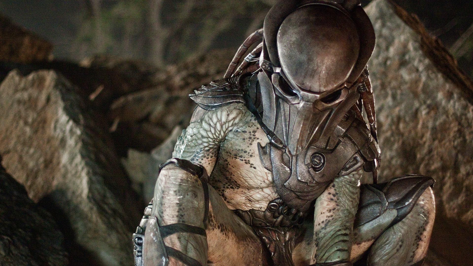 The Falconer Predator crouches among rocks in a cave.