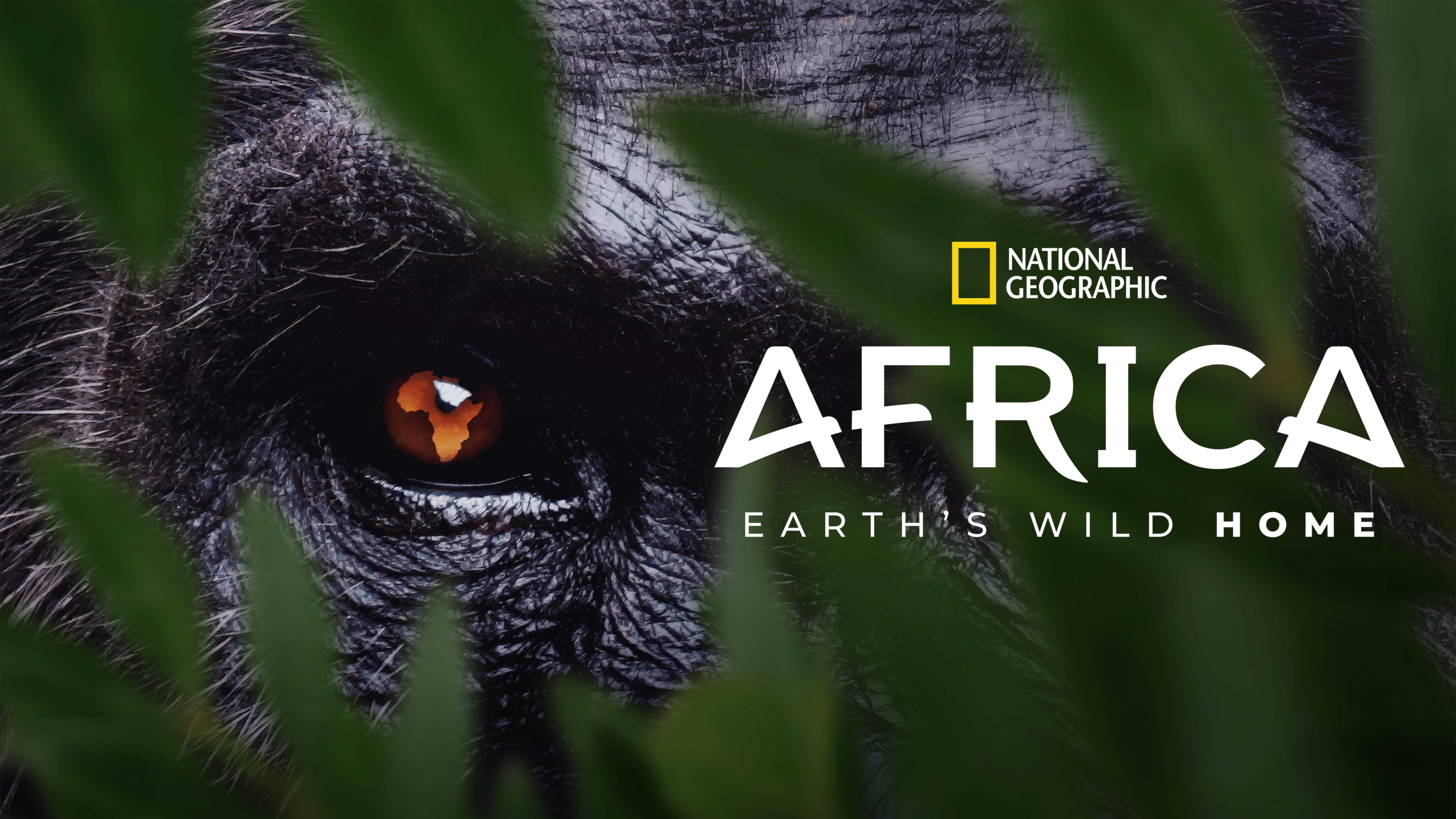Africa