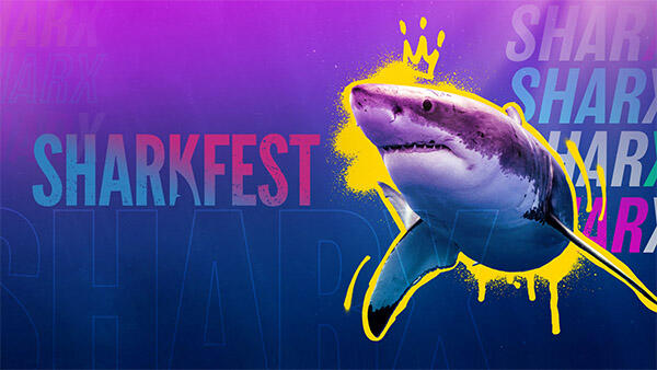 Title art for SharkFest on the National Geographic Channel.