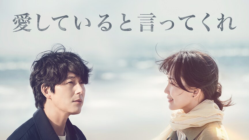 『愛していると言ってくれ』のカバー画像。浜辺で、右側を見つめるチャ・ジヌ（左）、左側にいるチャ・ジヌを見つめるチョン・モウン（右）
