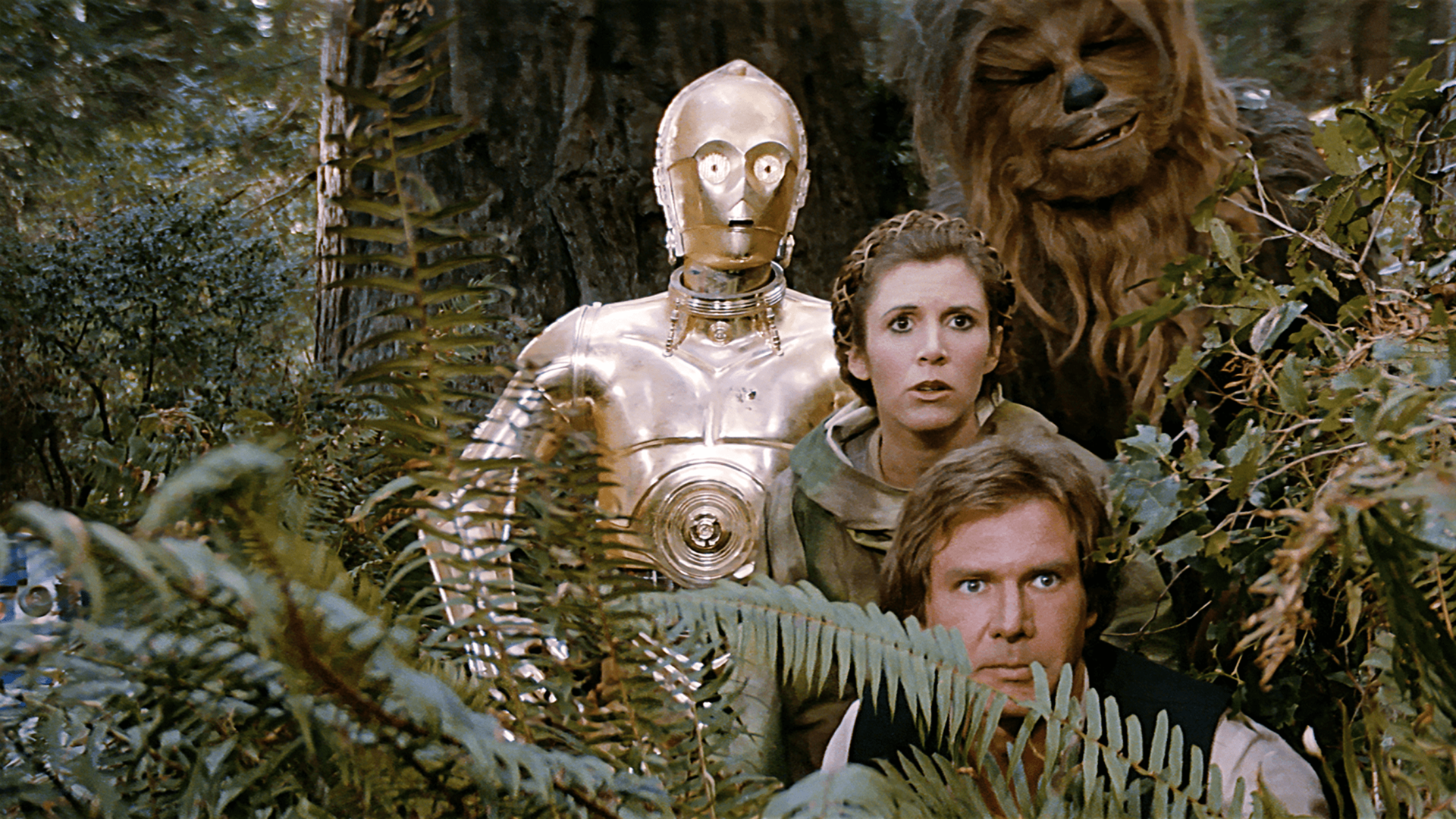 C-3PO, Chewbacca, Princess Leia (Carrie Fisher), and Han Solo (Harrison Ford) in Star Wars: Return of the Jedi