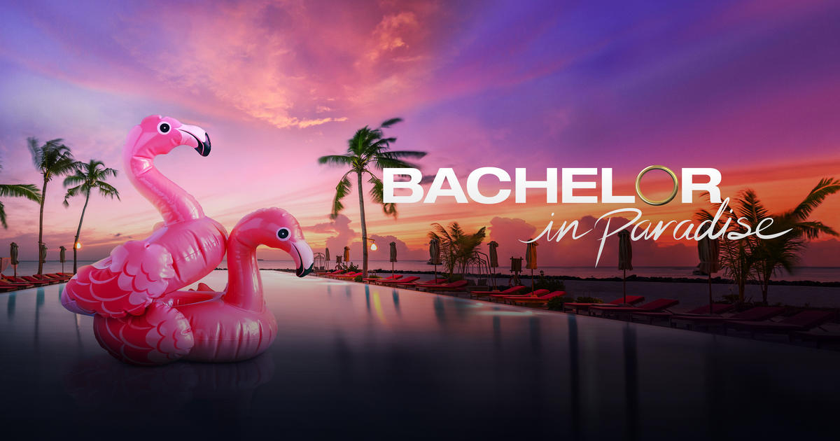 Flamingo swim floaties in the water at sunset.