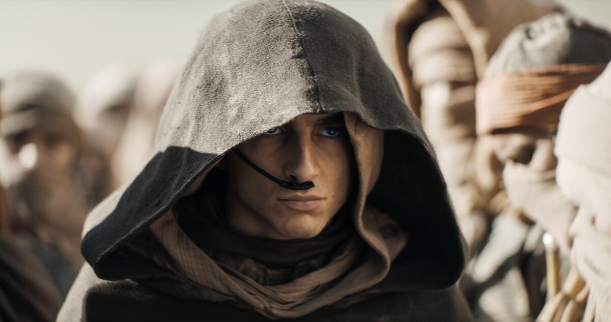 Timothy Chalamet as Paul Atreides in the Oscar-winning movie Dune 2.