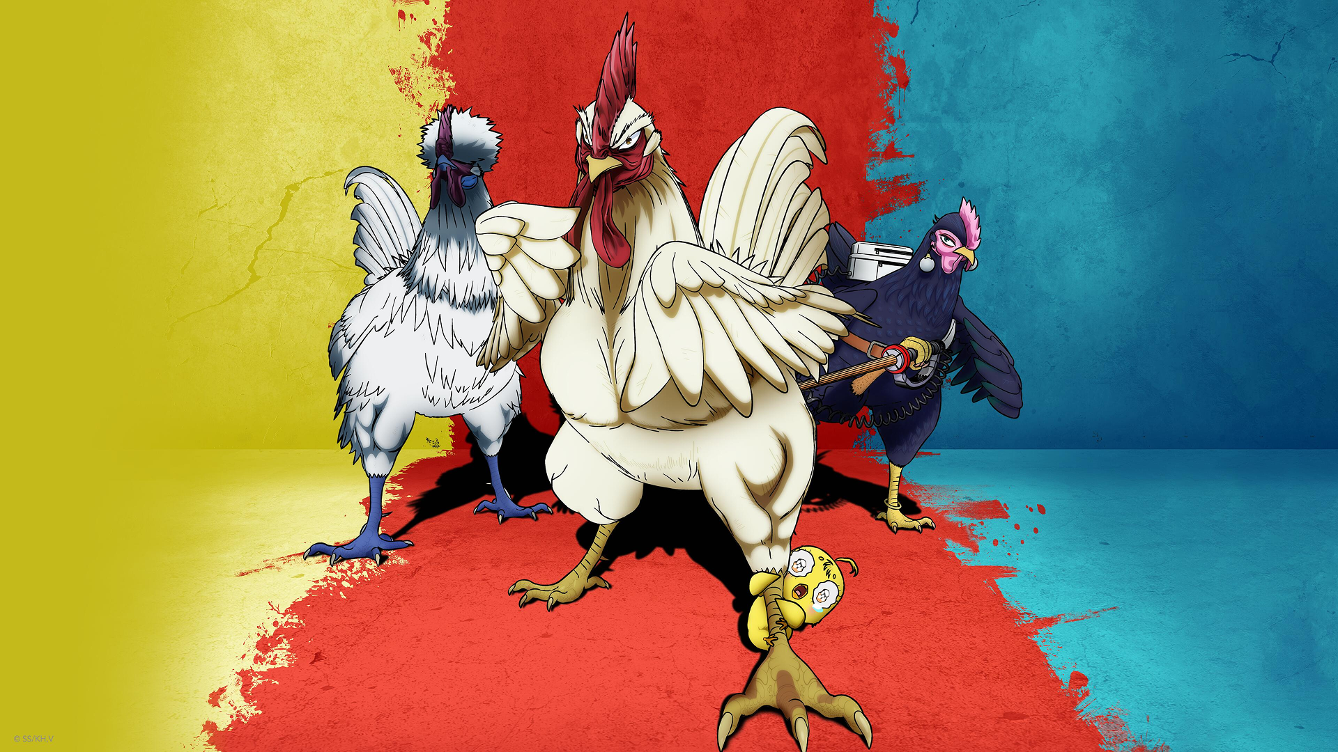 Promotional image for Adult Swim's new animated show, Rooster Fighter, featuring animated roosters.
