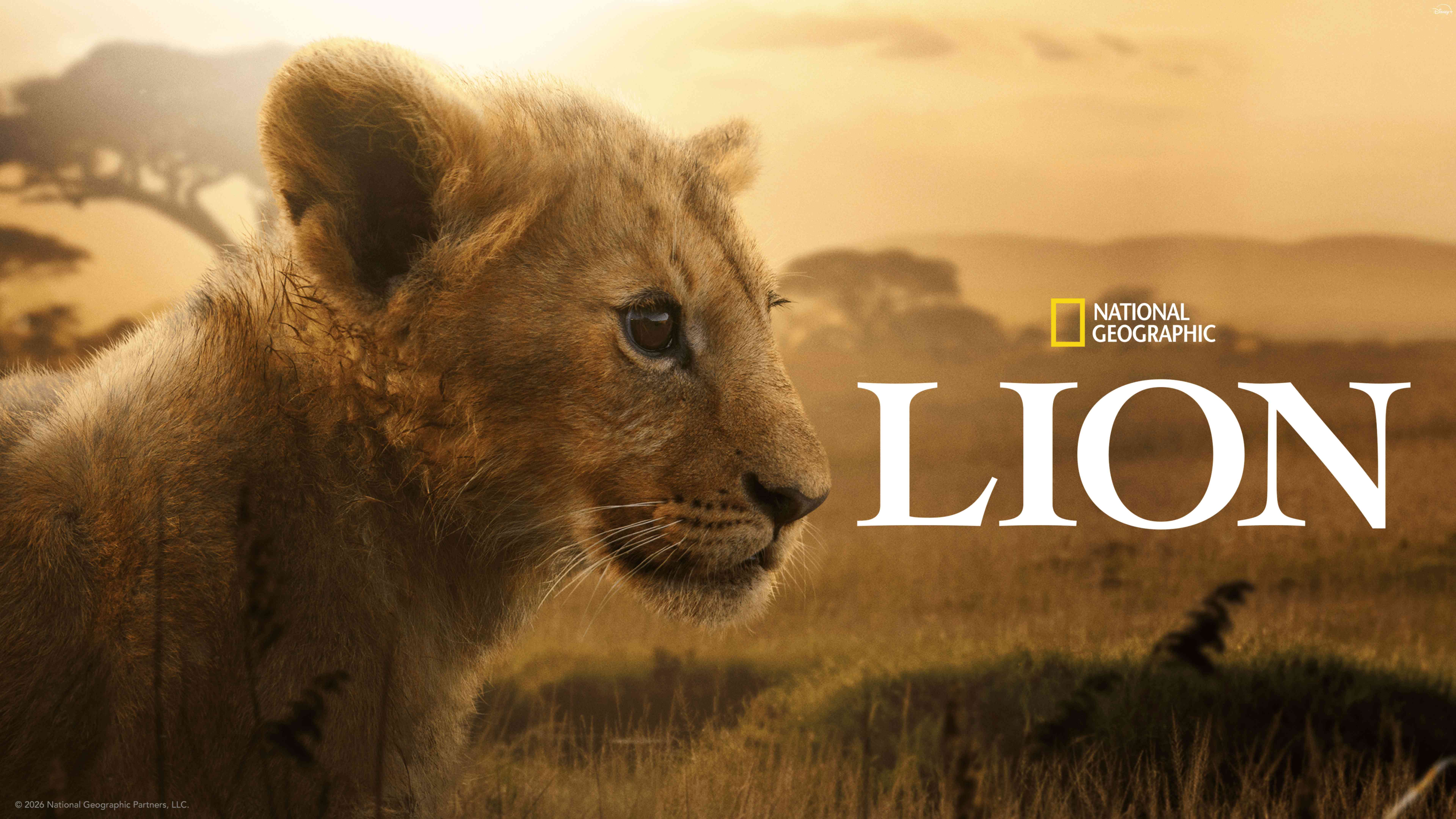 Nat Geo Lion