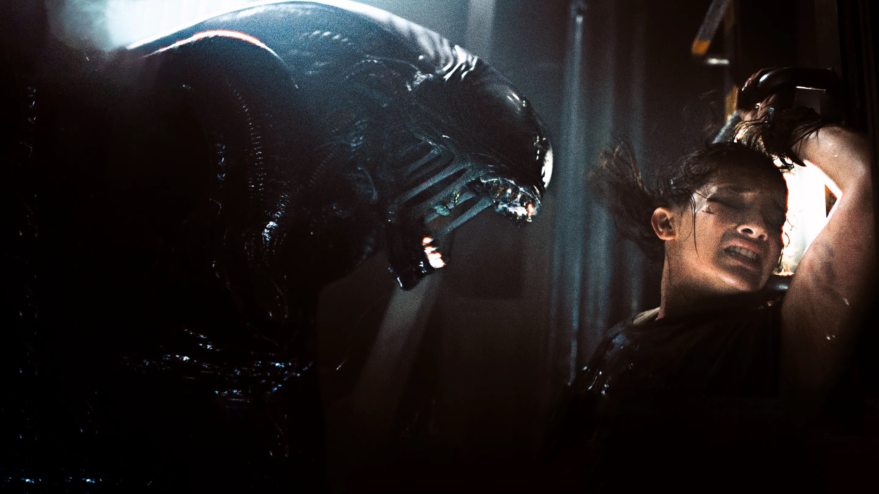 A xenomorph attacks Rain Carradine (Cailee Spaeny) in Alien: Romulus.