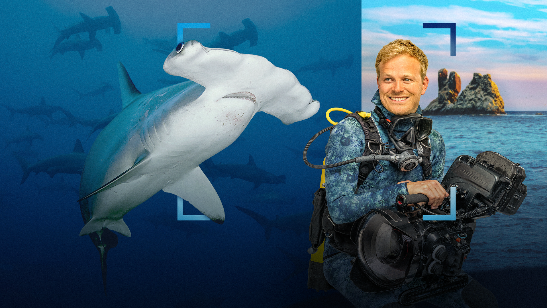 This image features British wildlife filmmaker and photographer Bertie Gregory from the National Geographic special "Hammerhead Sharks Up Close".