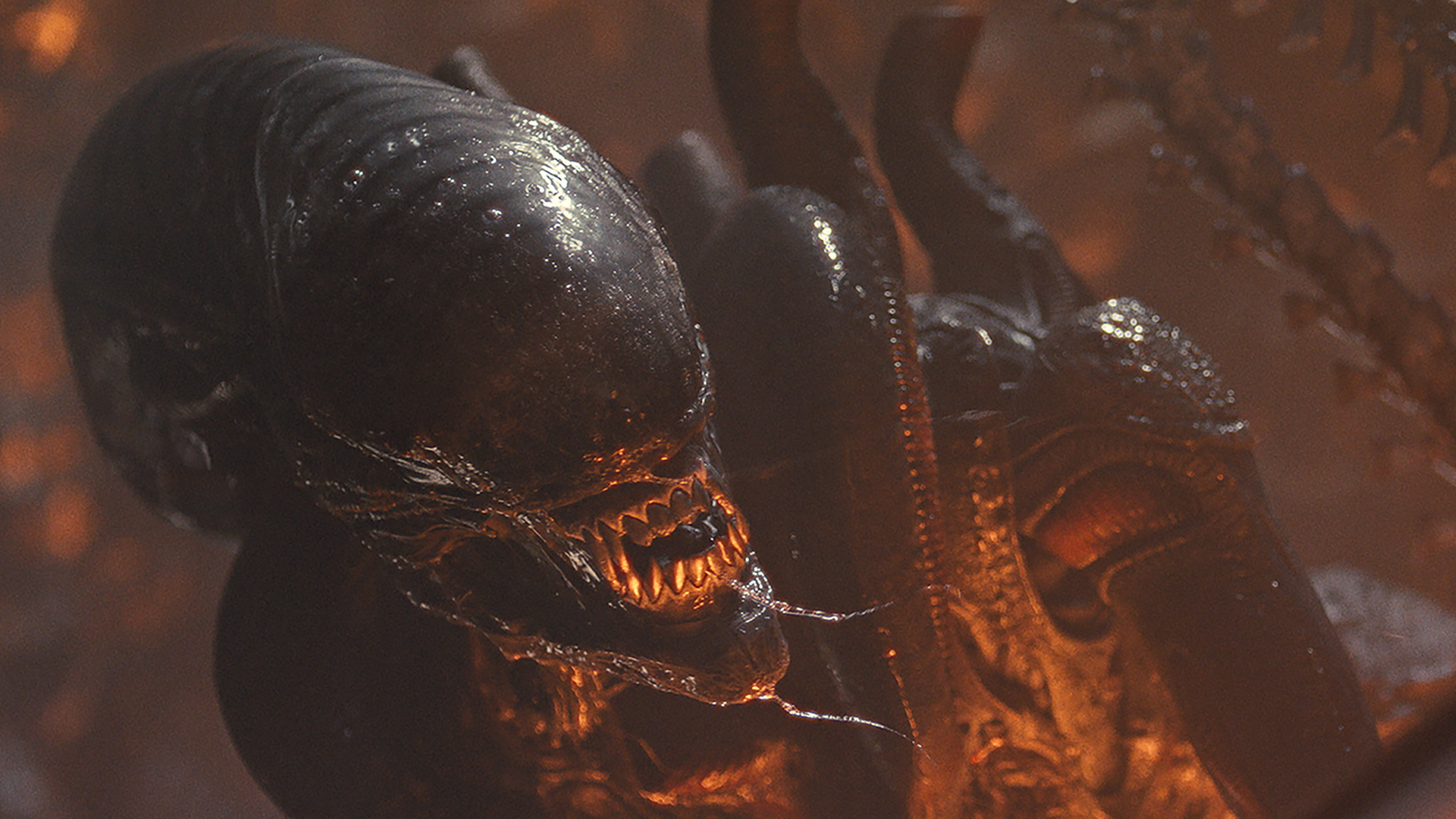 A closeup of the Xenomorph in Alien.