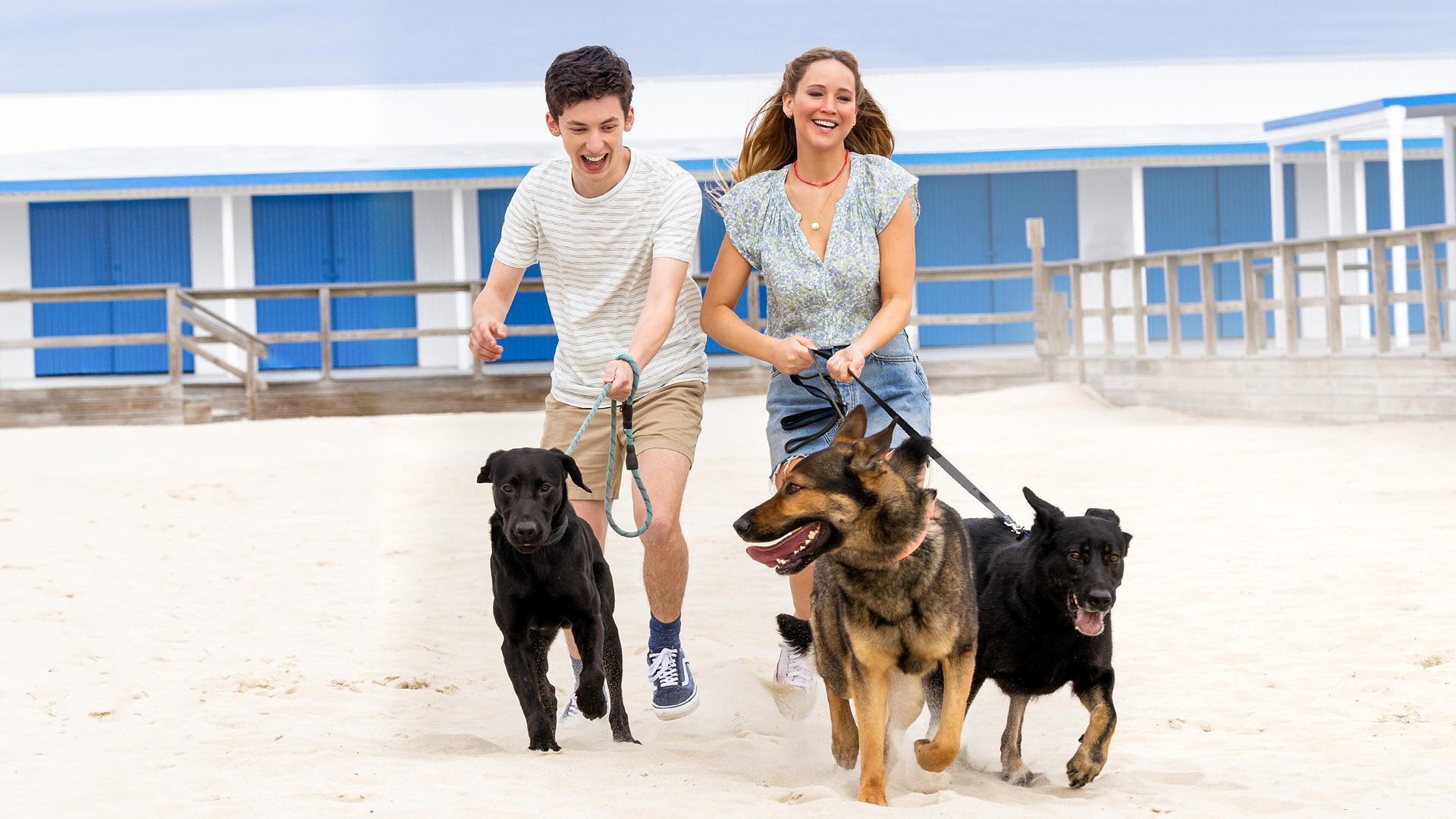 Percy (Andrew Barth Feldman) and Maddie (Jennifer Lawrence) laugh while running with leashed dogs on a beach