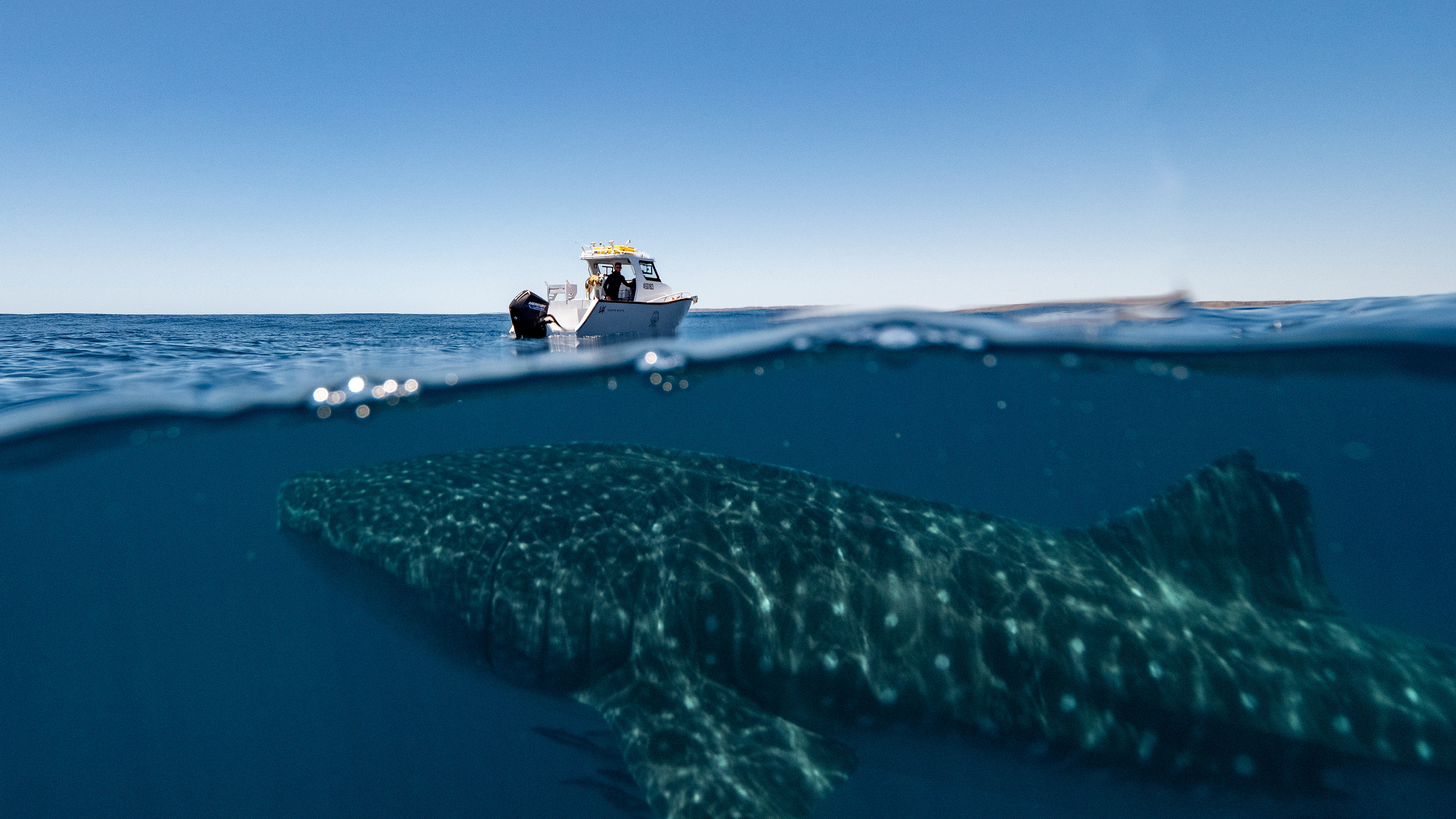 Shipwreck Hunters Australia, Disney