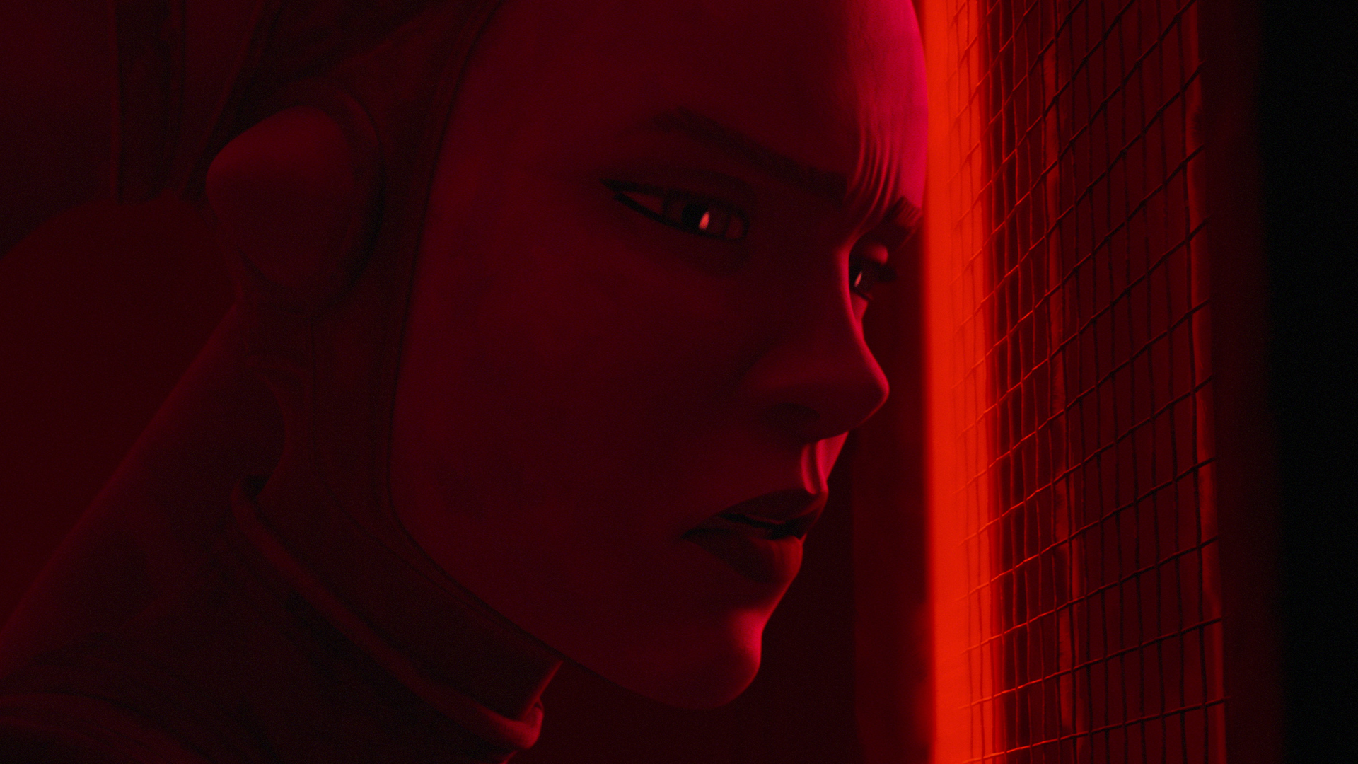 デヴォン・イザラのクローズアップ。