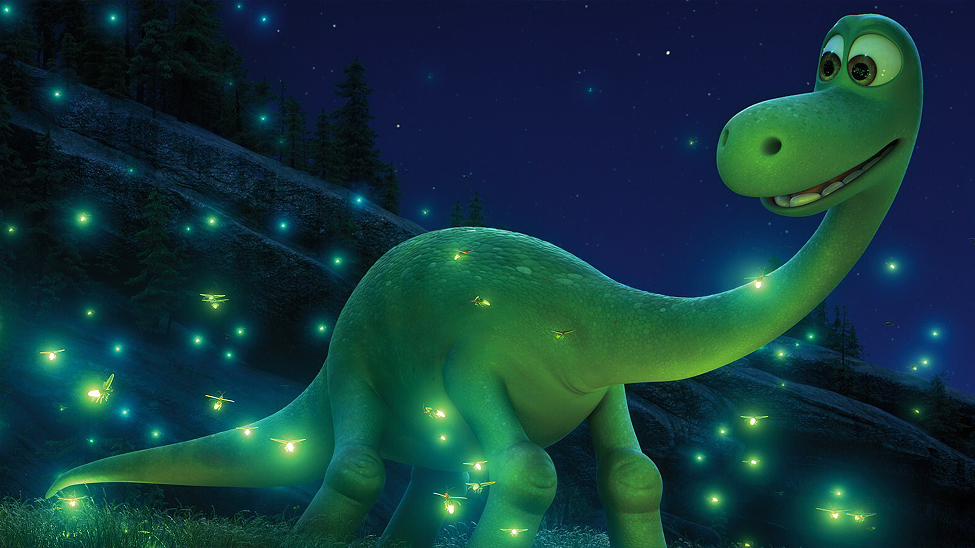 Arlo looks intrigued by the fireflies that surrounds him