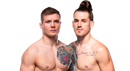 Ufc fight night 178 live online stream