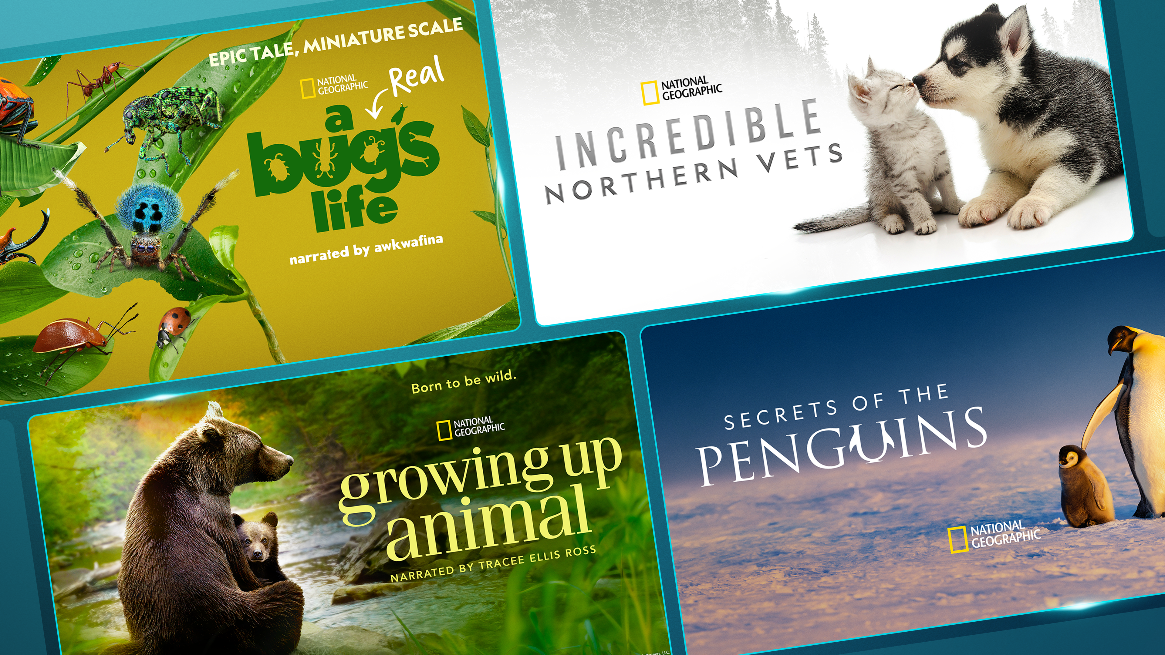 Promotional image for the  National Geographic: Nature Break Watch Guide